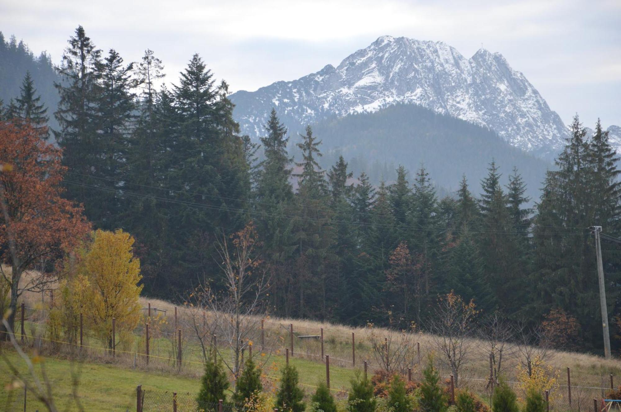 Msc Apartments Honeymoon Zakopane Quarto foto
