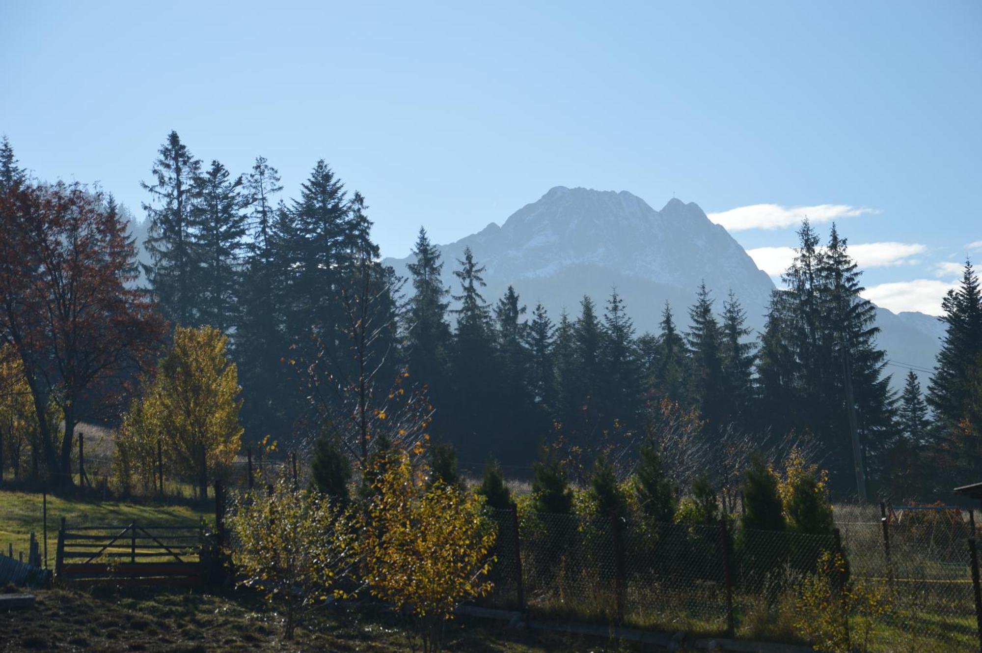 Msc Apartments Honeymoon Zakopane Quarto foto