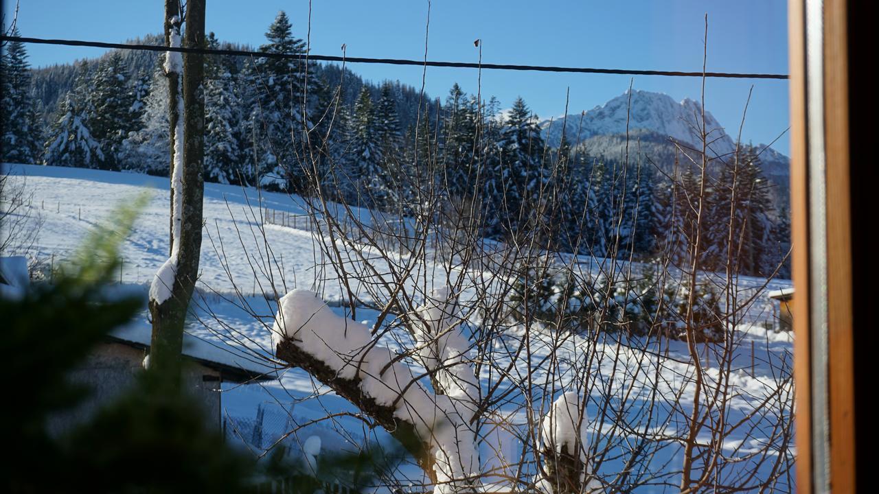 Msc Apartments Honeymoon Zakopane Exterior foto